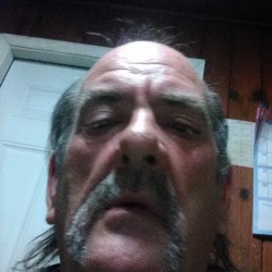 bill free online dating